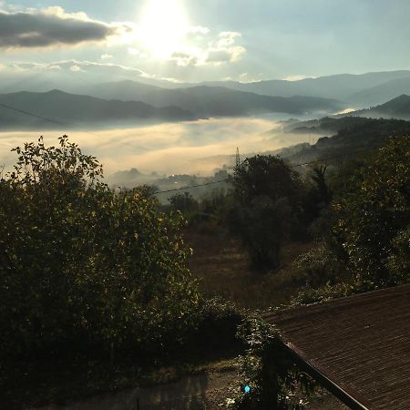 Il Mugello B&B Vicchio Exterior foto