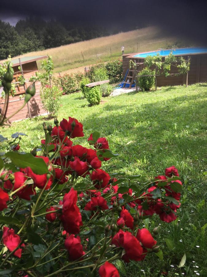 Il Mugello B&B Vicchio Exterior foto
