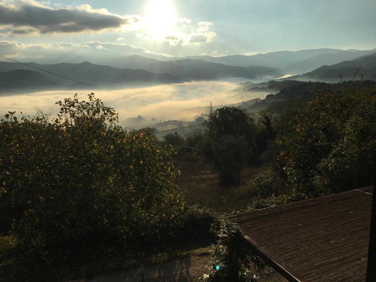 Il Mugello B&B Vicchio Exterior foto