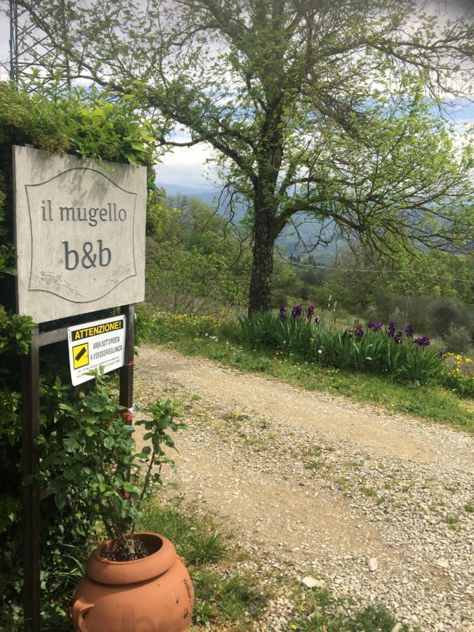Il Mugello B&B Vicchio Exterior foto