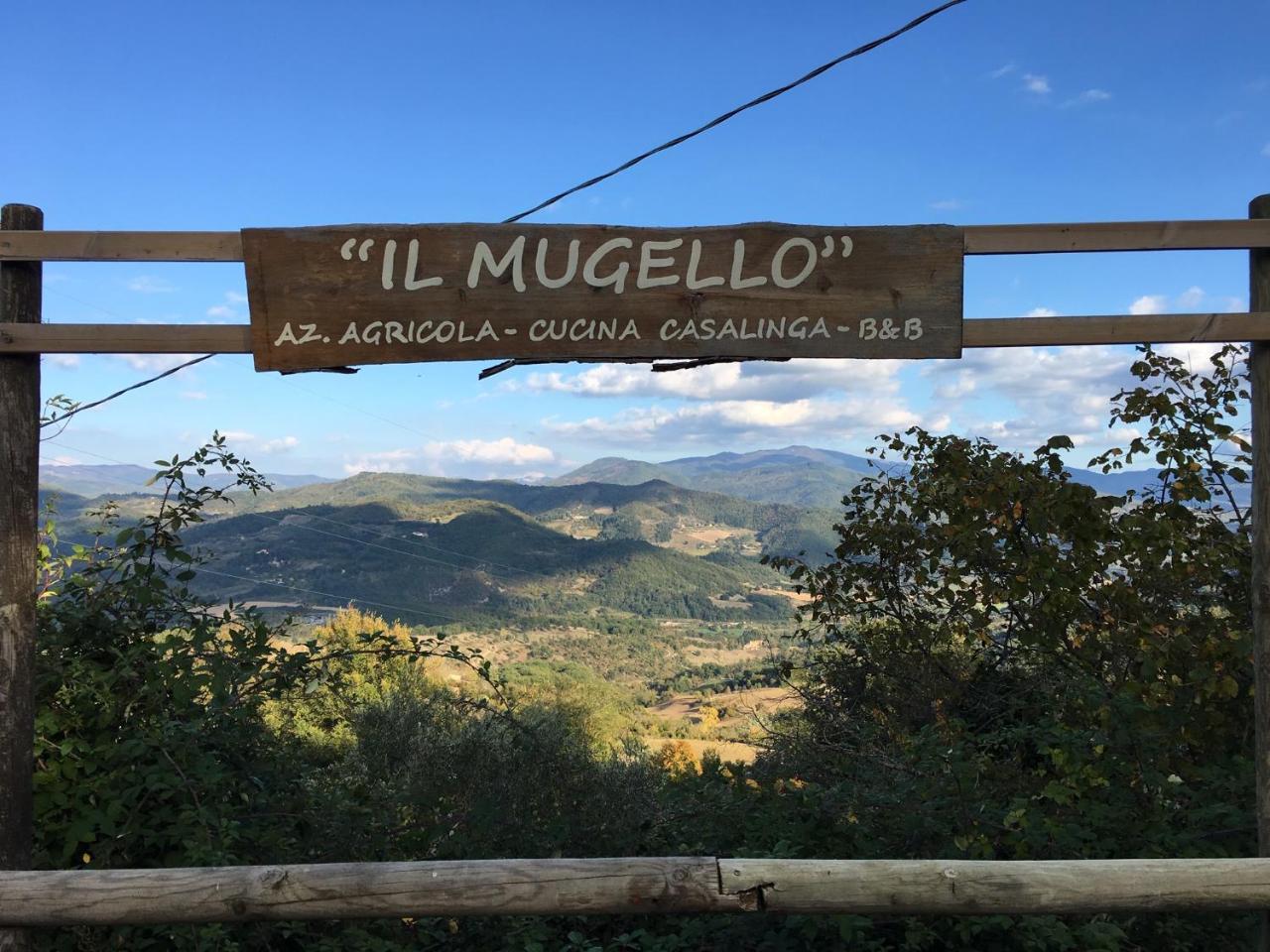 Il Mugello B&B Vicchio Exterior foto