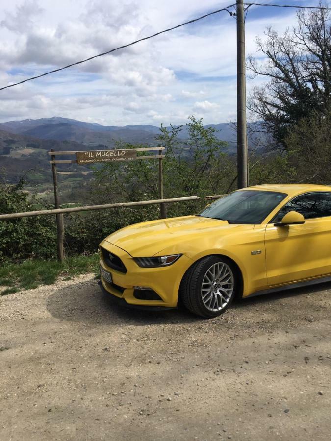 Il Mugello B&B Vicchio Exterior foto
